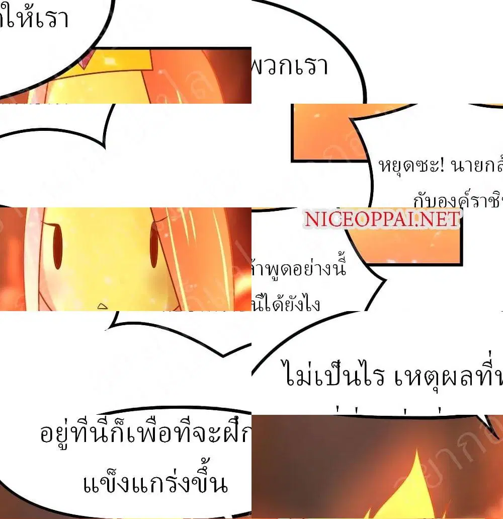 หน้า 3 จาก 14