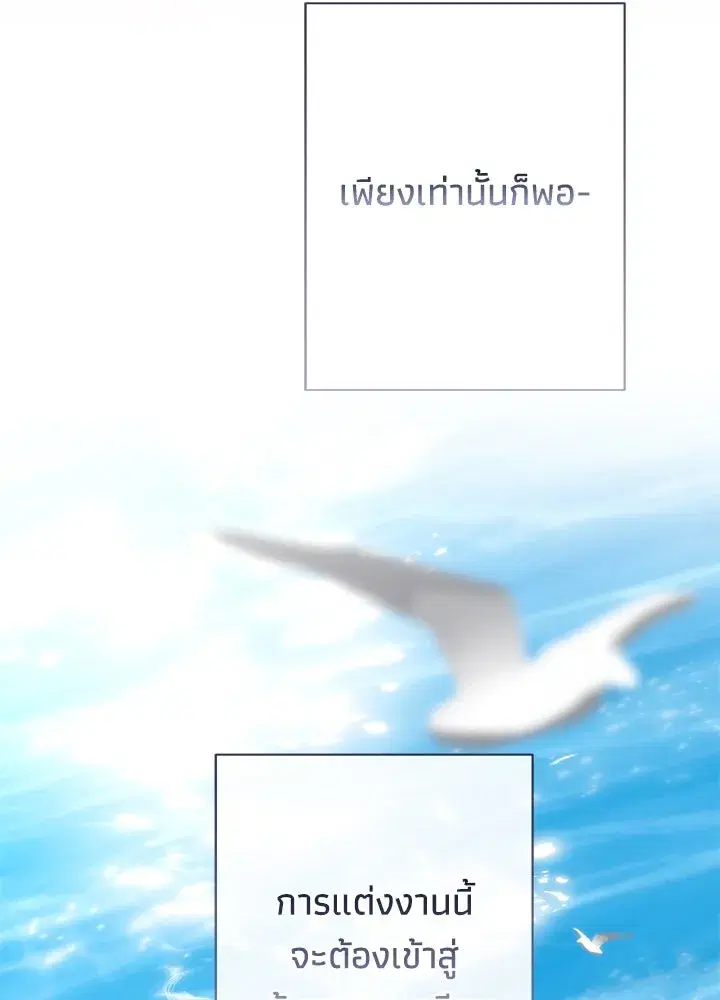 หน้า 95 จาก 124