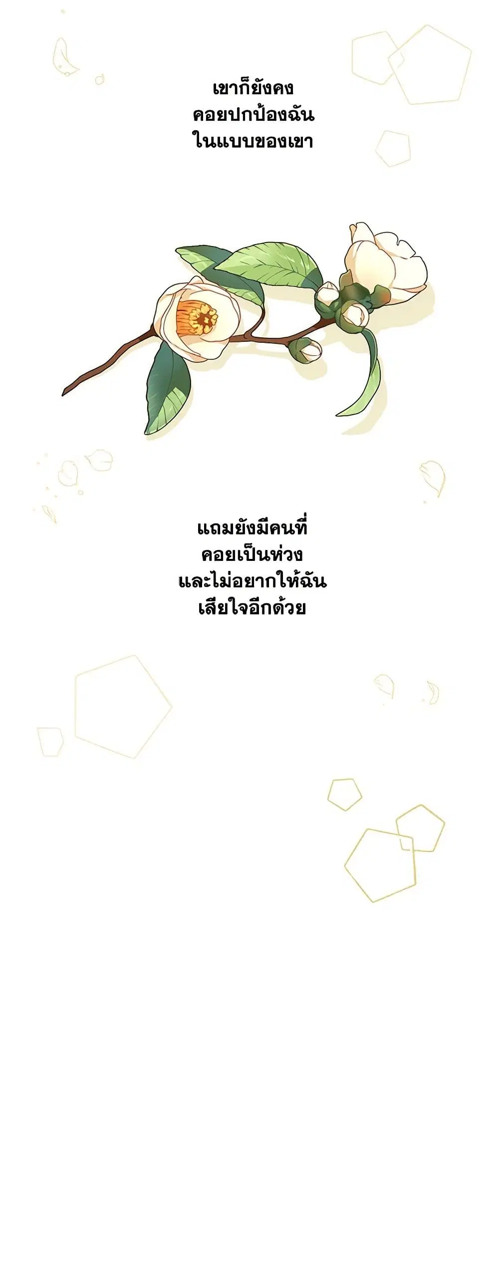 หน้า 41 จาก 42