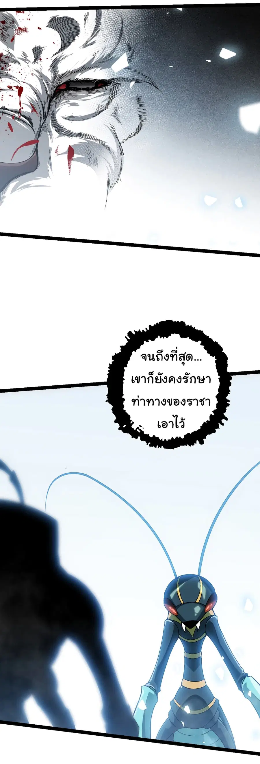 หน้า 6 จาก 38