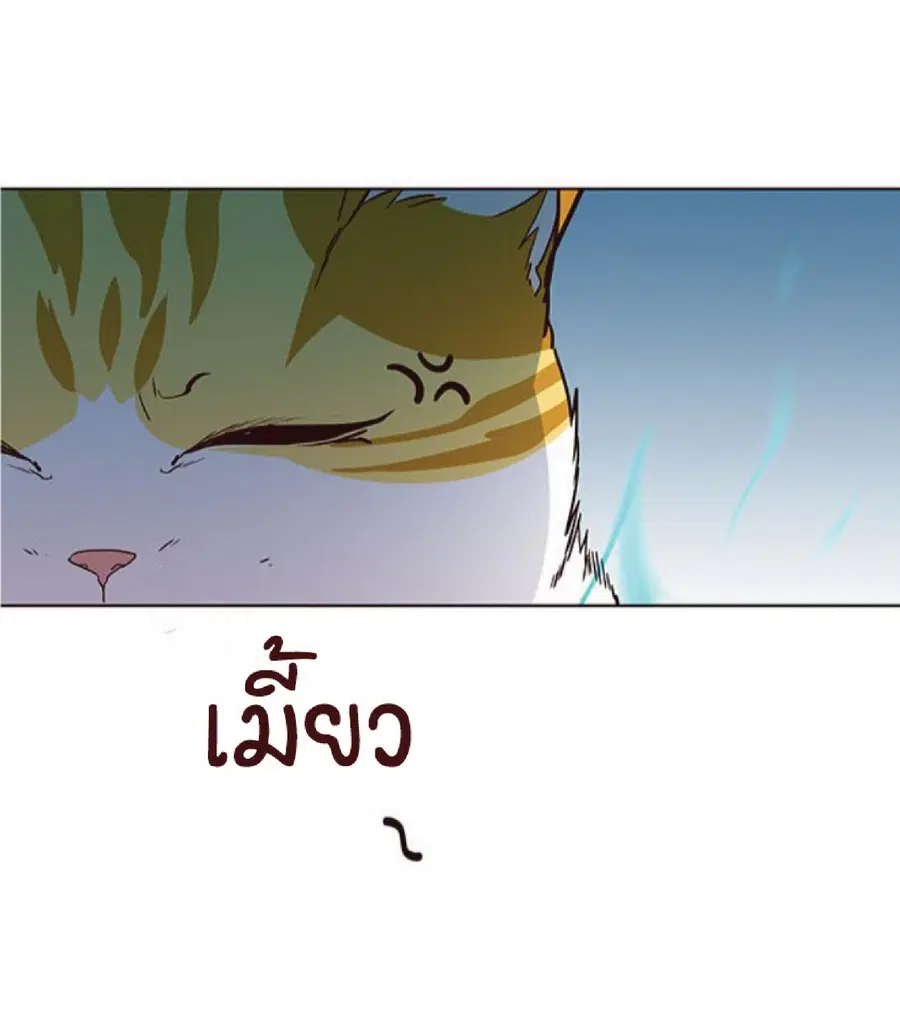 หน้า 49 จาก 94