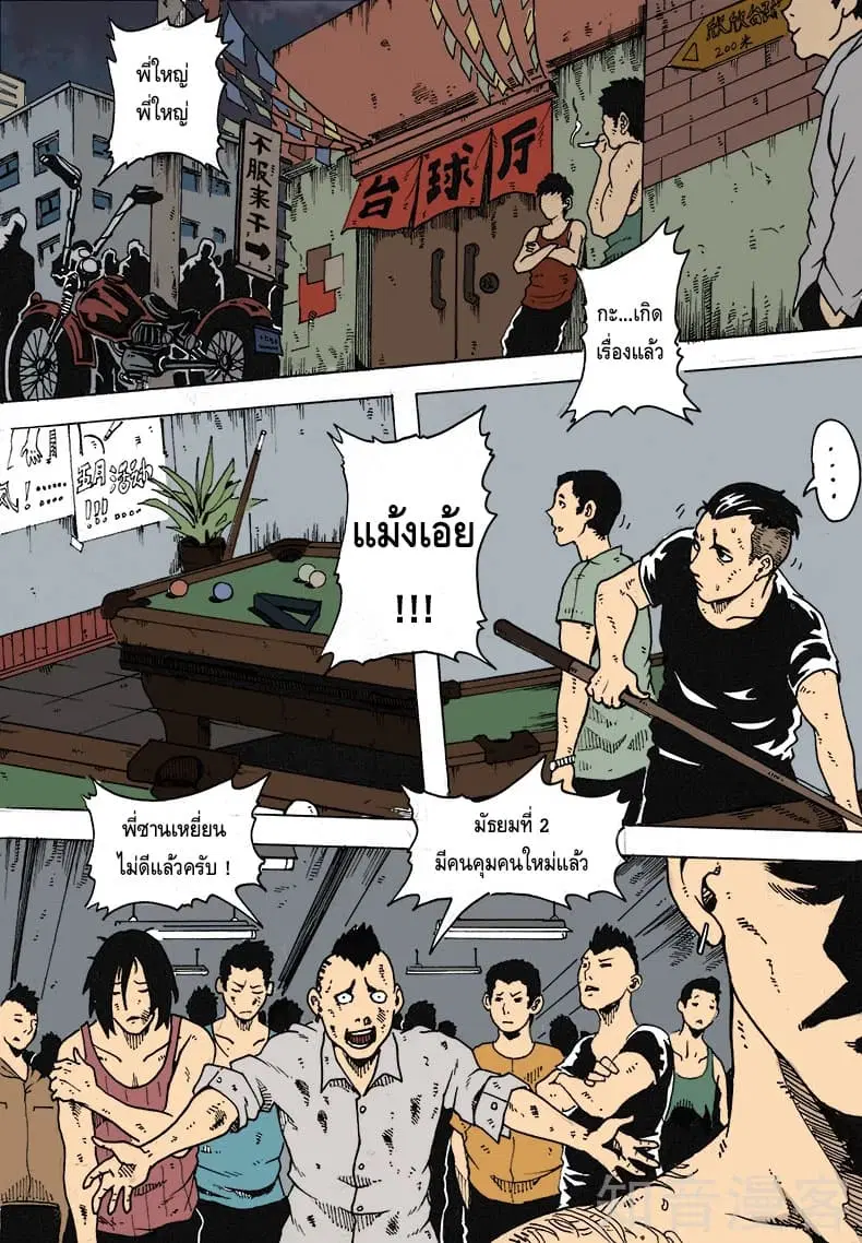 หน้า 11 จาก 13