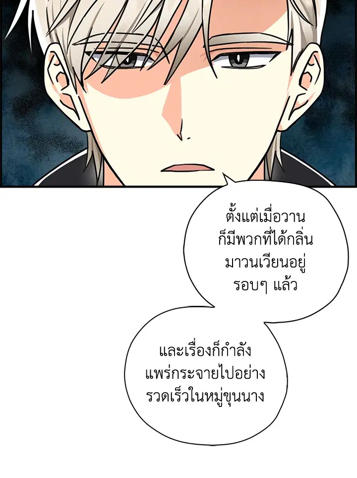 หน้า 19 จาก 75