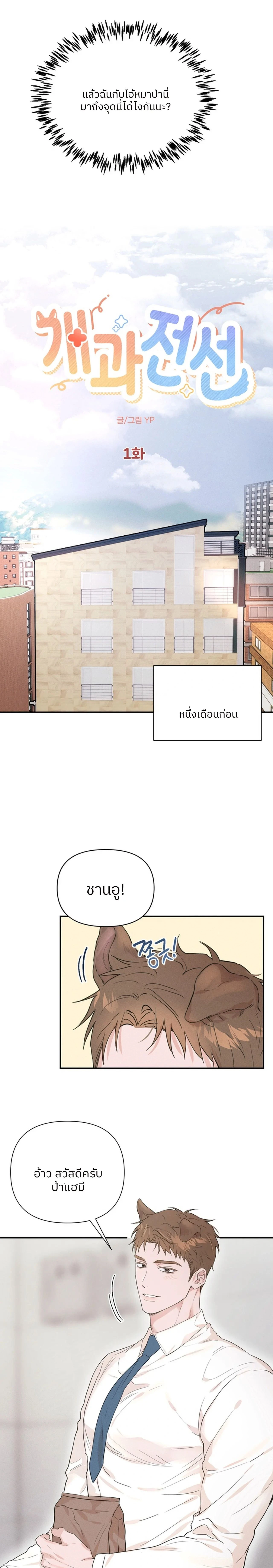 หน้า 4 จาก 17