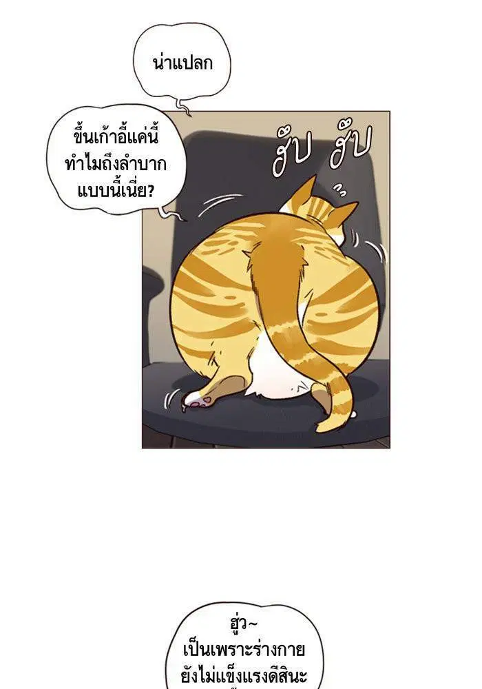 หน้า 51 จาก 59