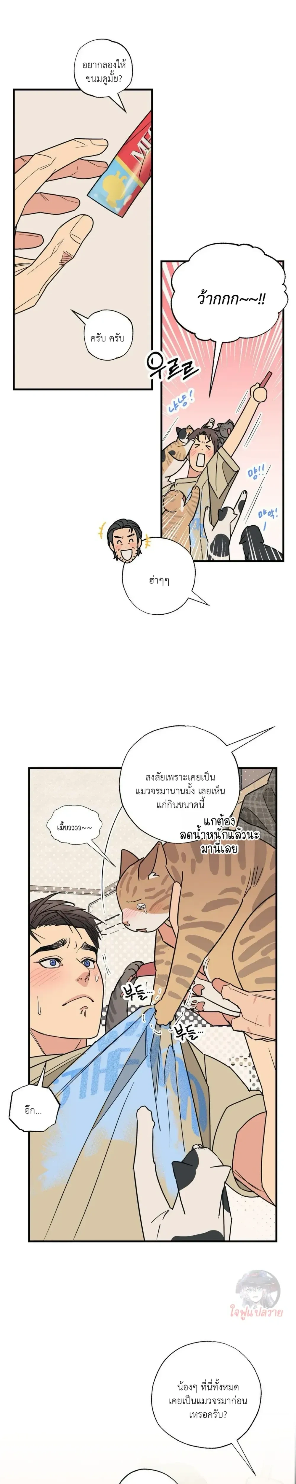 หน้า 8 จาก 19