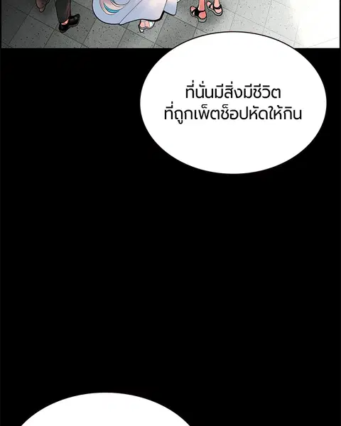 หน้า 3 จาก 157