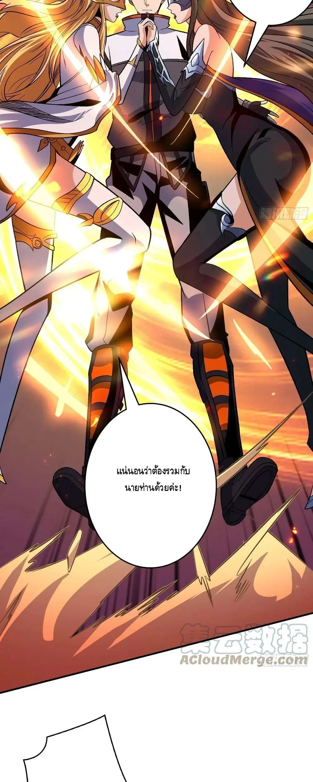 หน้า 24 จาก 42