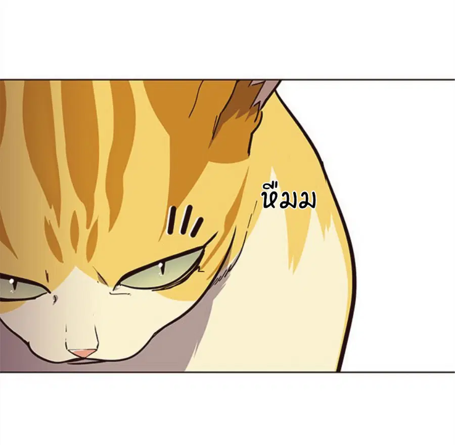 หน้า 40 จาก 90