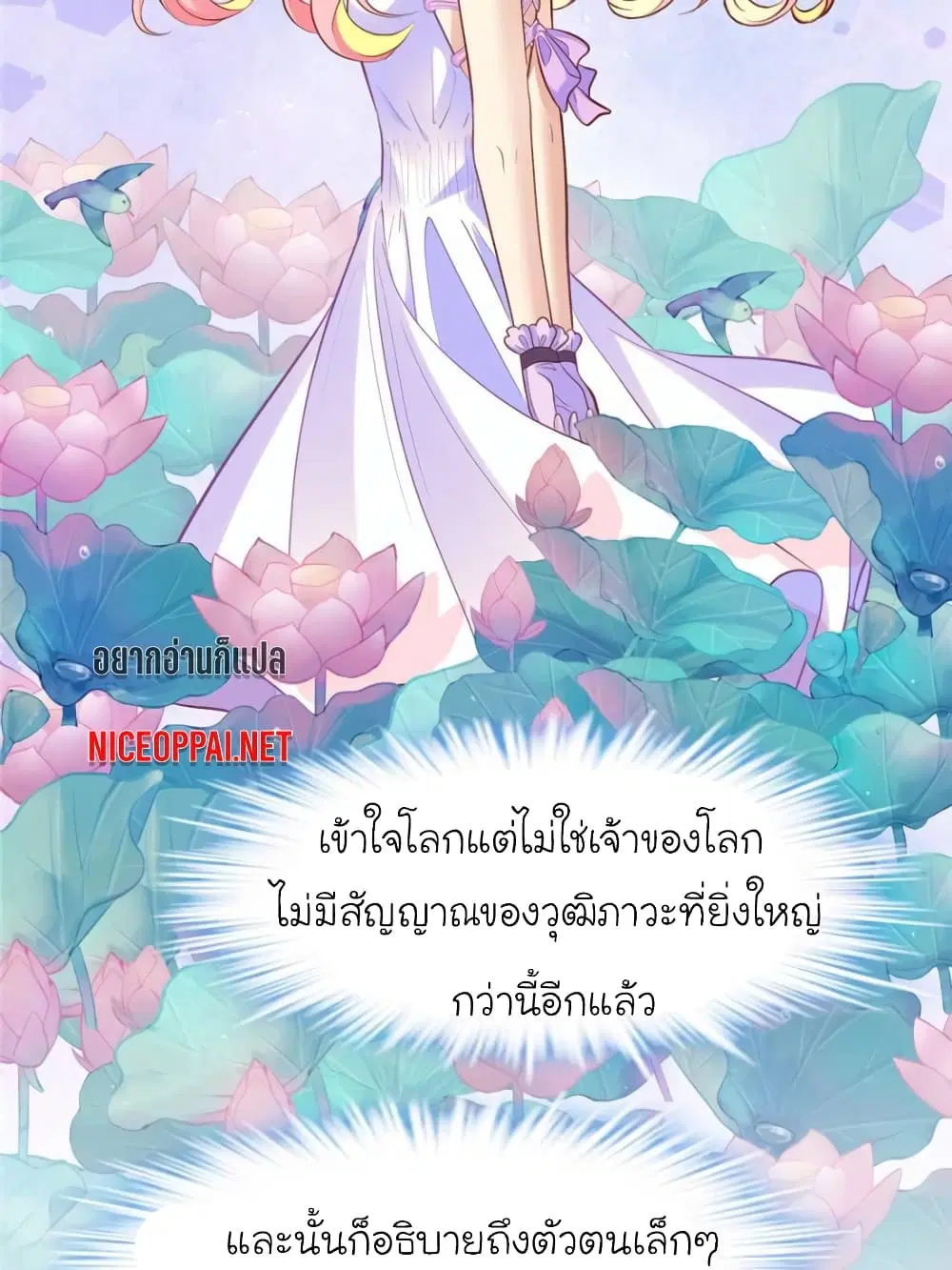 หน้า 36 จาก 75