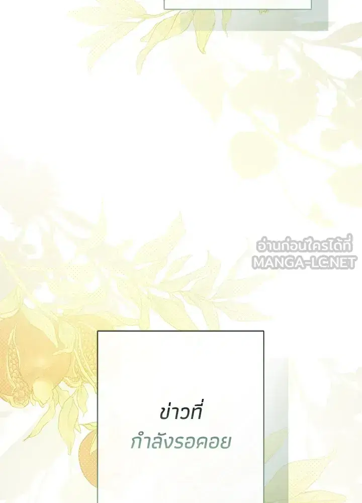 หน้า 3 จาก 137