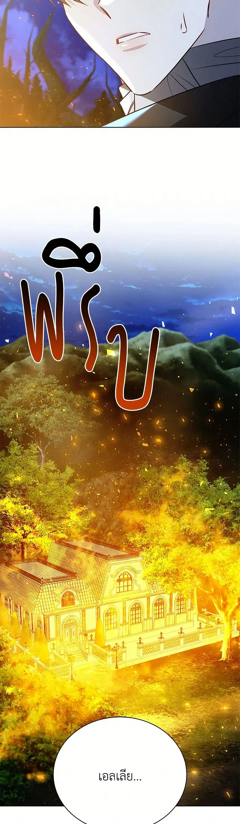 หน้า 24 จาก 41