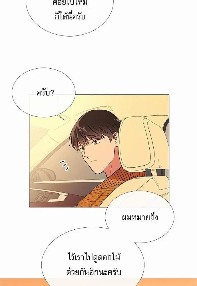 หน้า 36 จาก 55