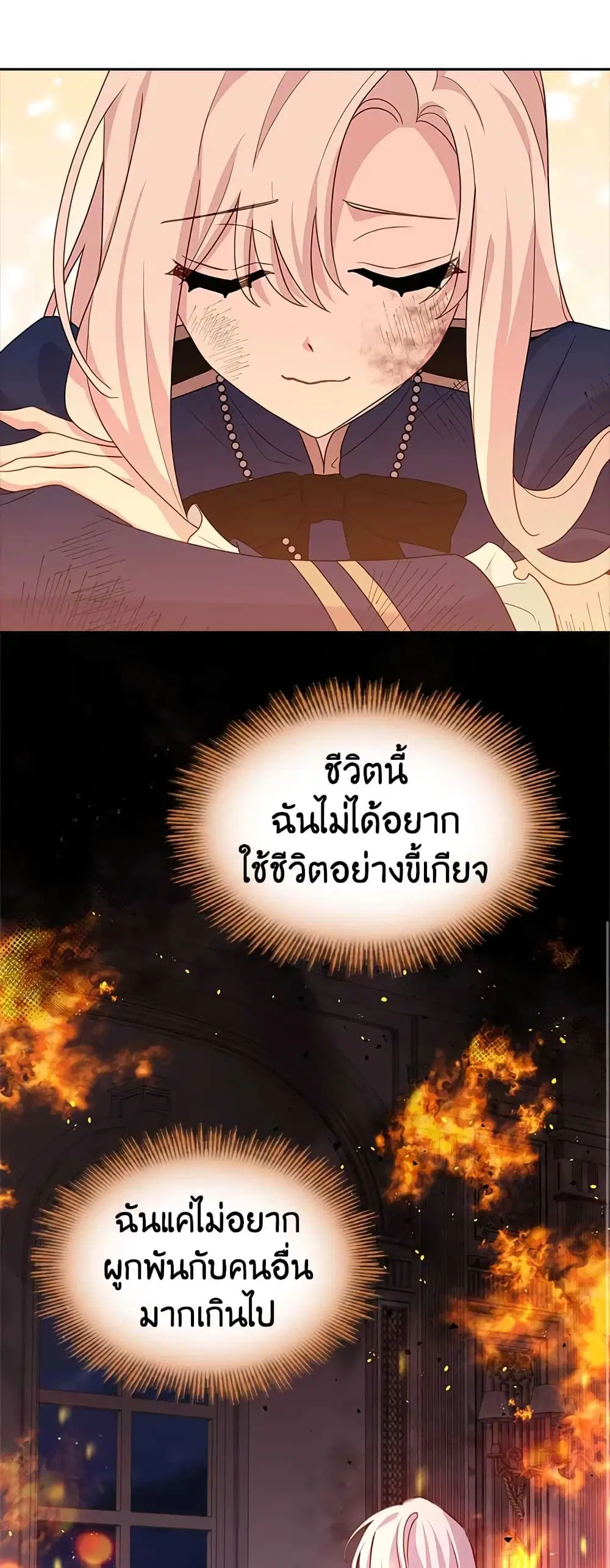 หน้า 29 จาก 47