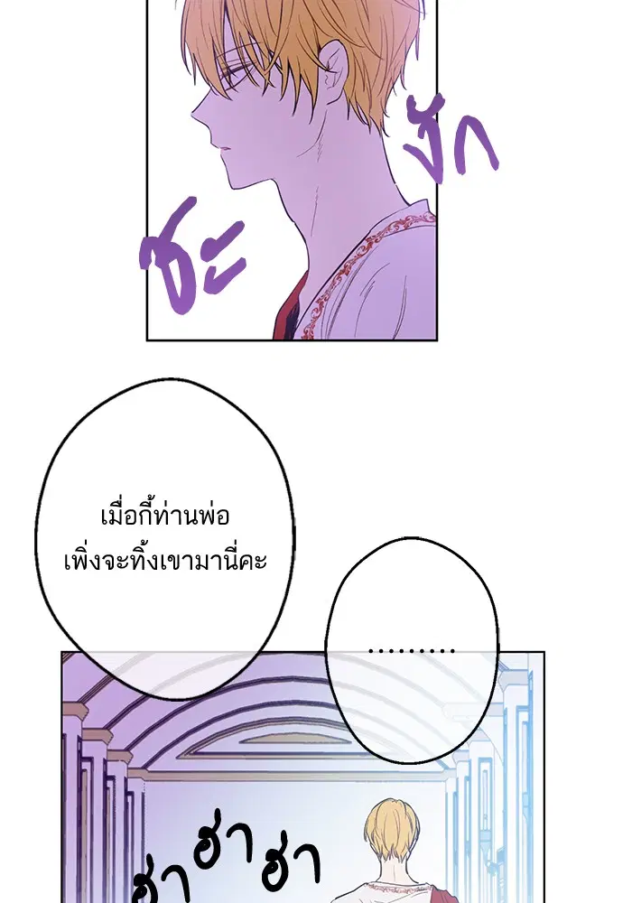 หน้า 37 จาก 81