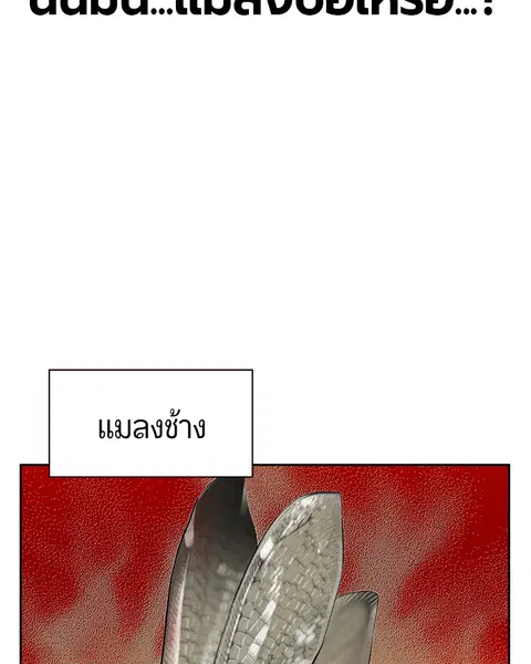 หน้า 106 จาก 171