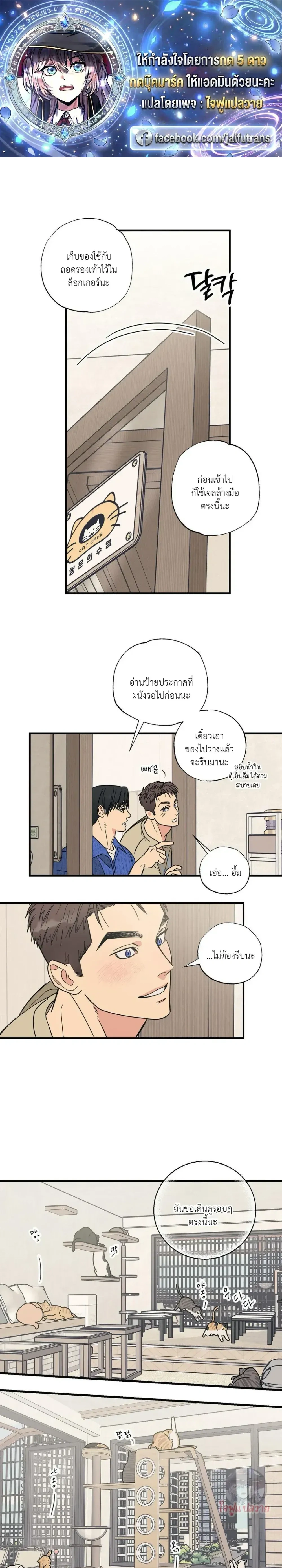 หน้า 1 จาก 19