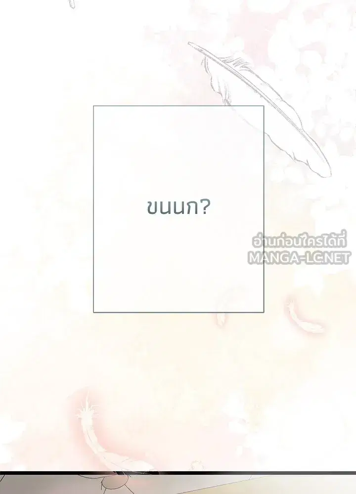 หน้า 6 จาก 144