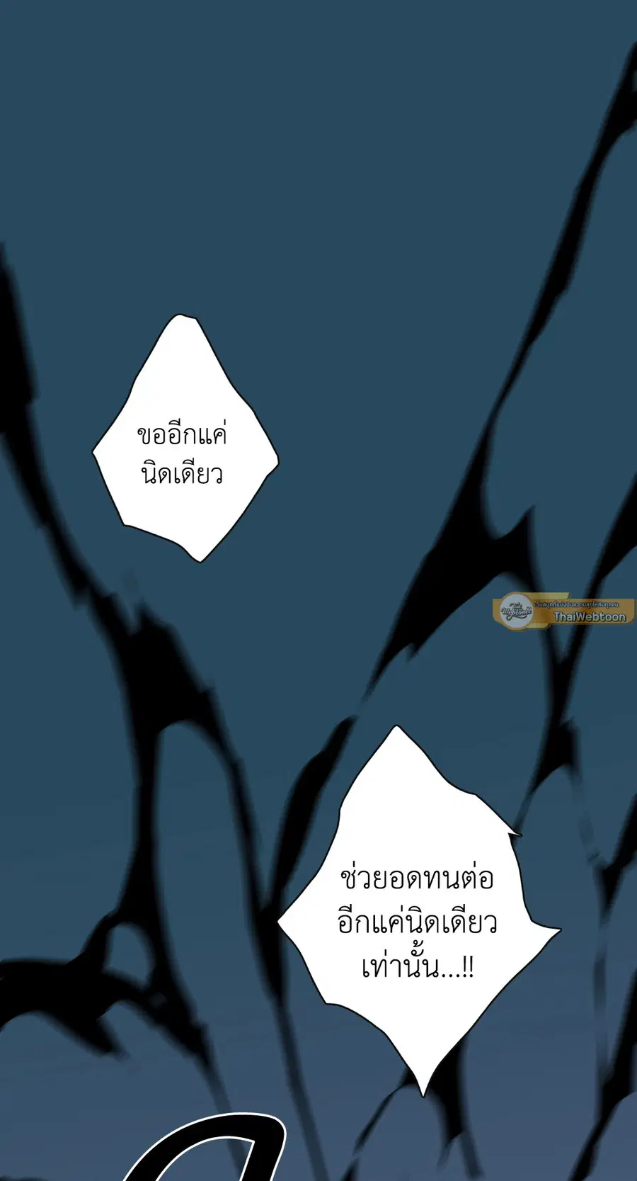 หน้า 26 จาก 71