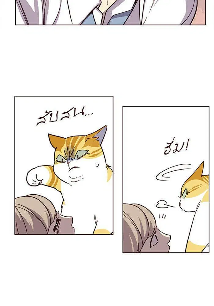 หน้า 13 จาก 81