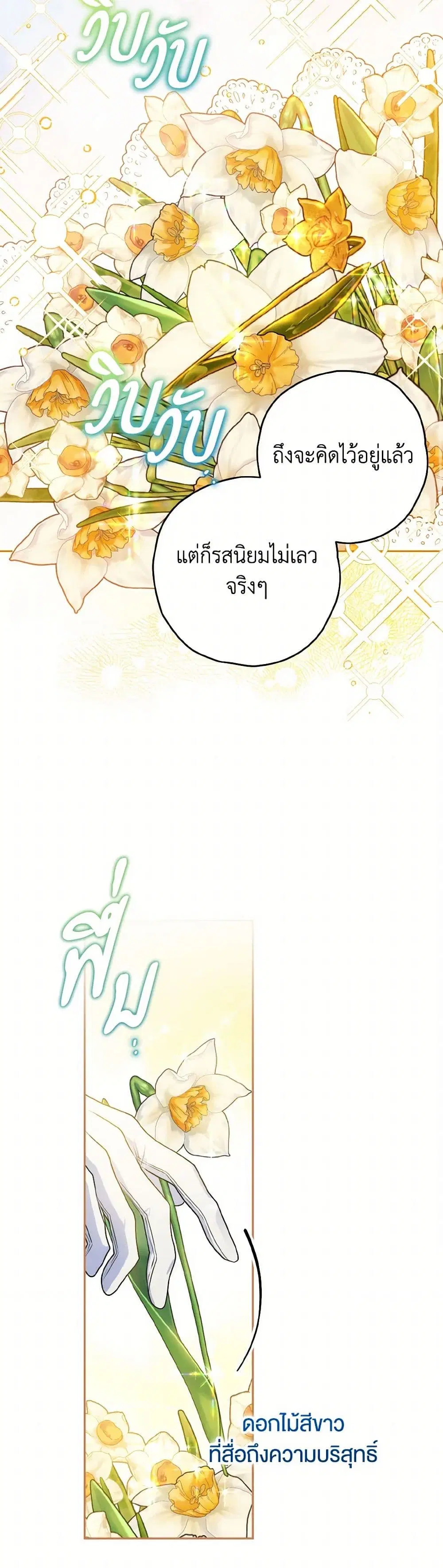 หน้า 27 จาก 41