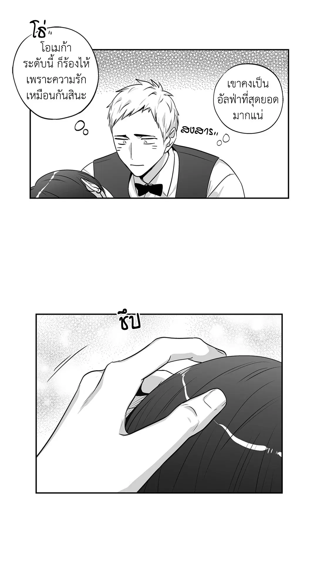 หน้า 49 จาก 52