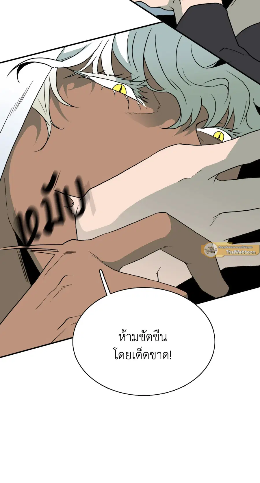 หน้า 46 จาก 70