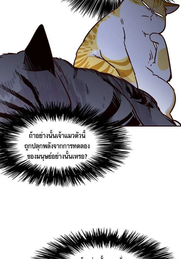 หน้า 11 จาก 85