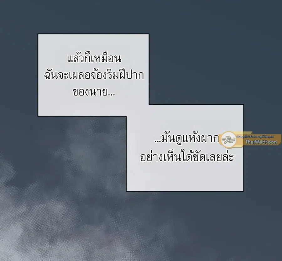 หน้า 7 จาก 167