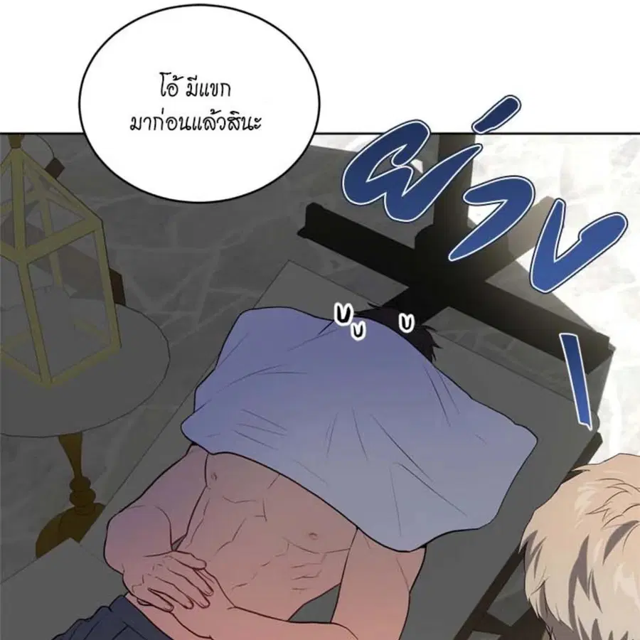 หน้า 17 จาก 144