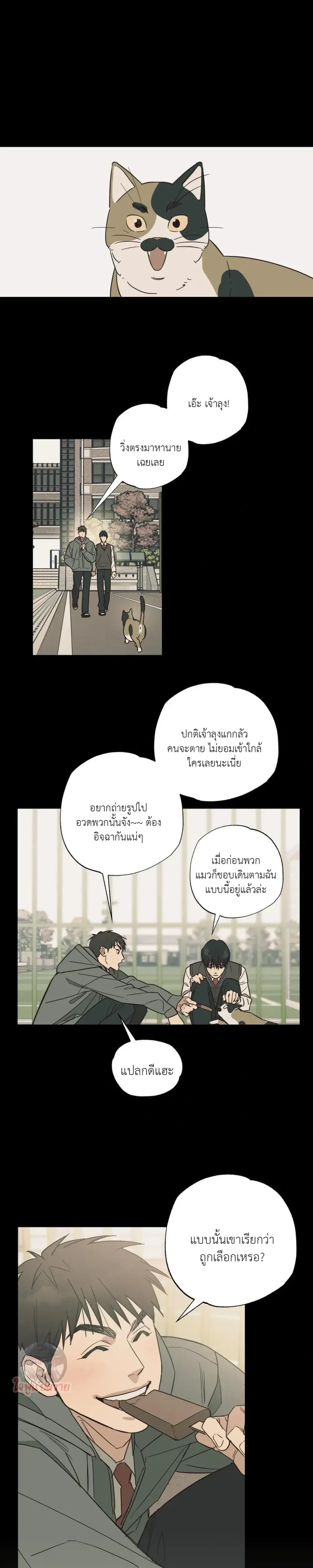 หน้า 8 จาก 22