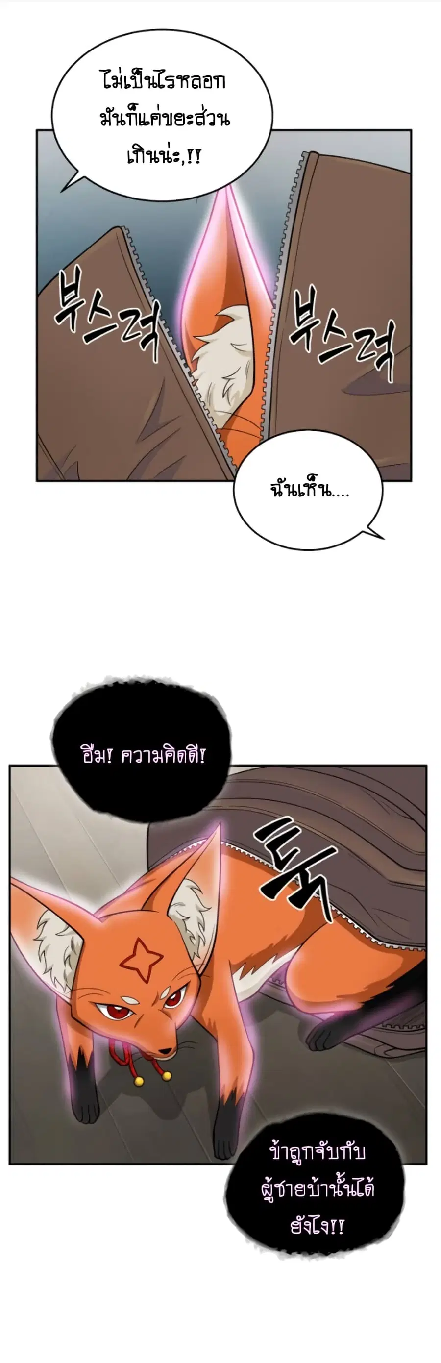 หน้า 29 จาก 42