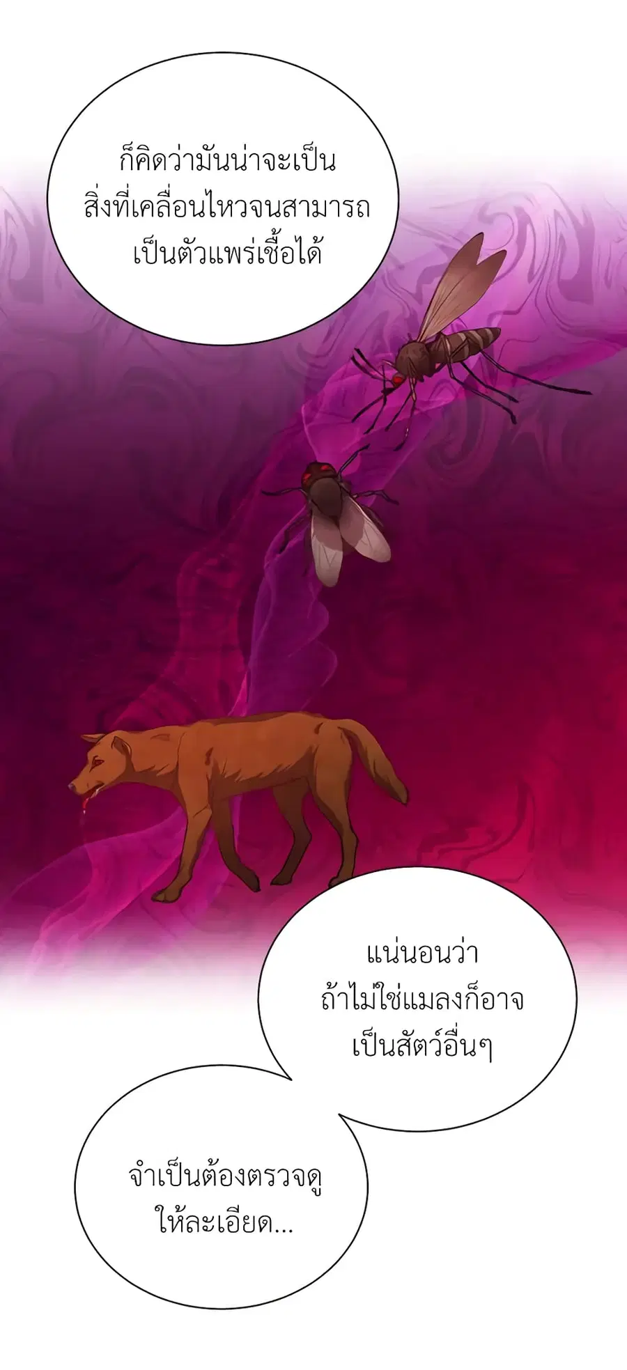 หน้า 44 จาก 47