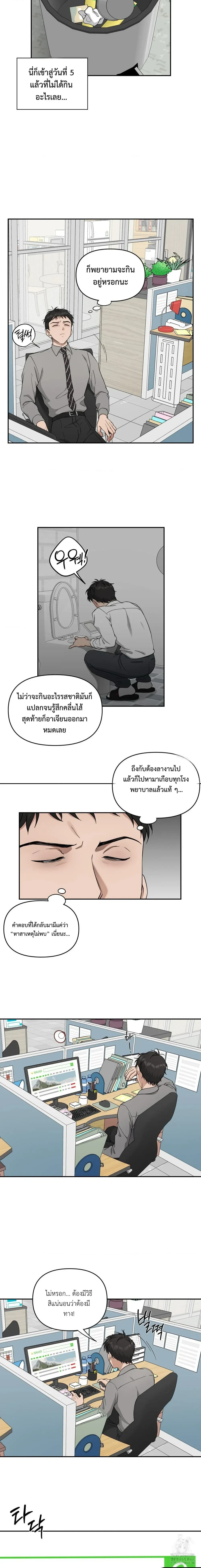 หน้า 3 จาก 13