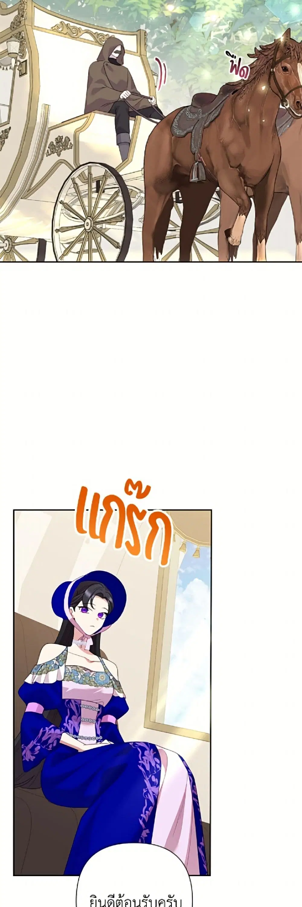 หน้า 11 จาก 52