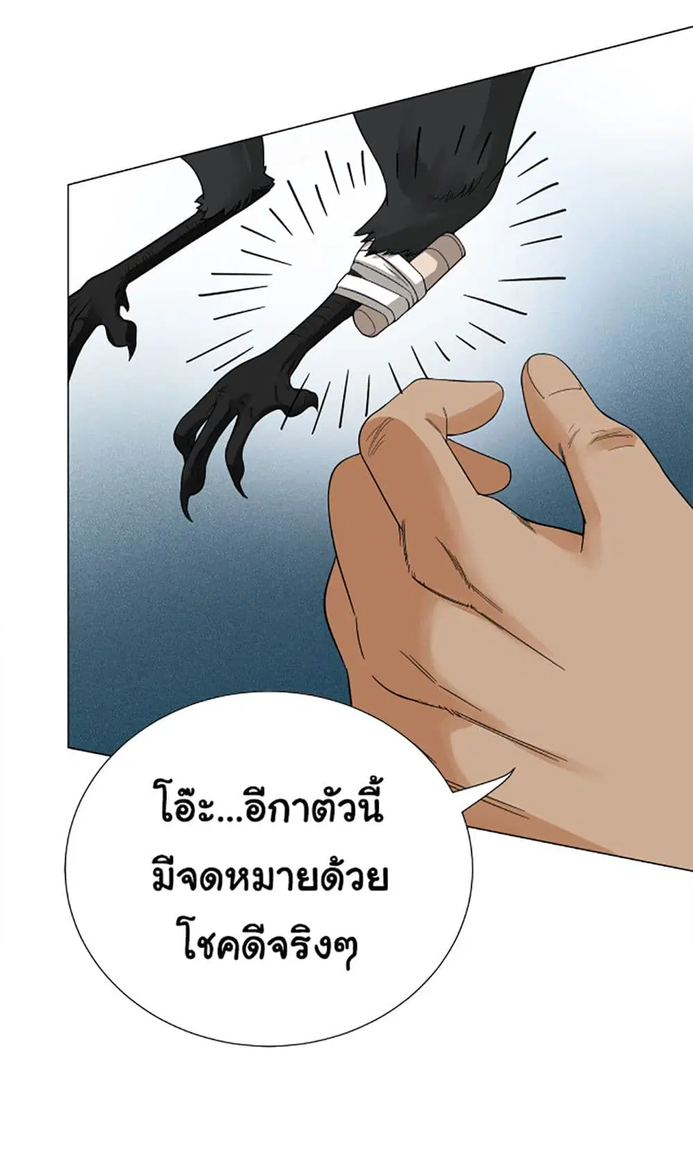 หน้า 67 จาก 119