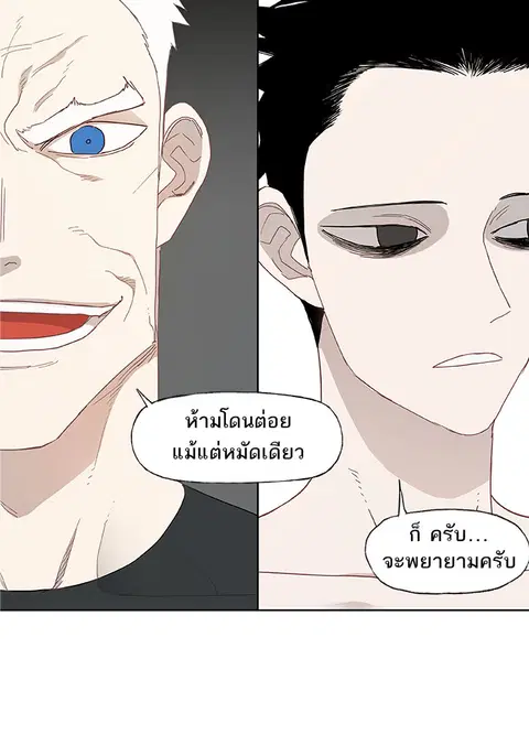 หน้า 31 จาก 57
