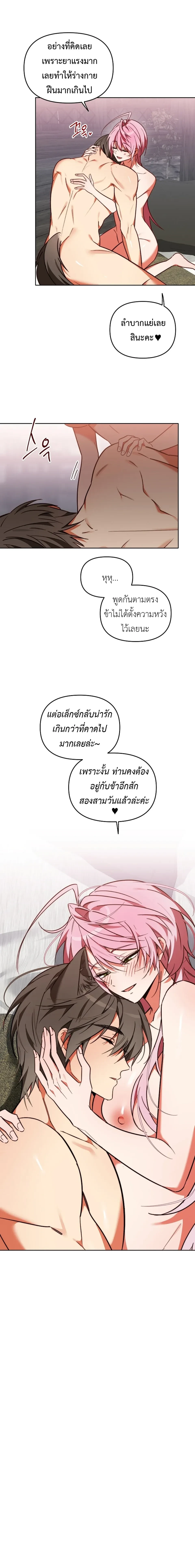 หน้า 21 จาก 21