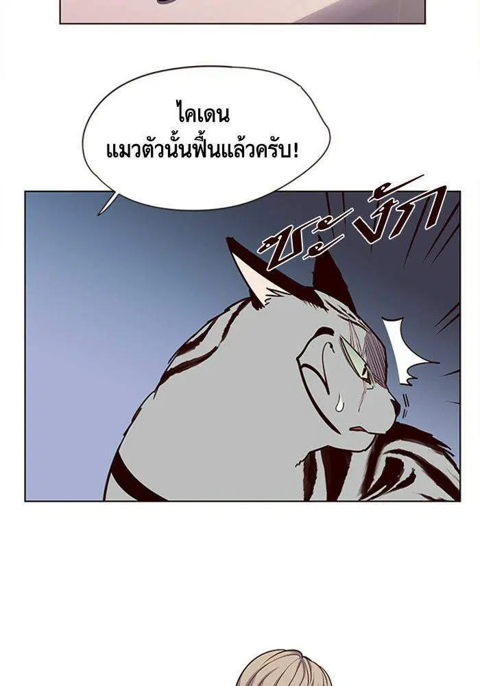หน้า 17 จาก 81