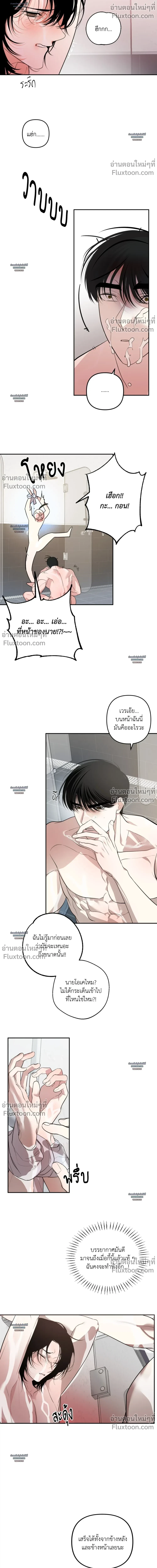 หน้า 20 จาก 31