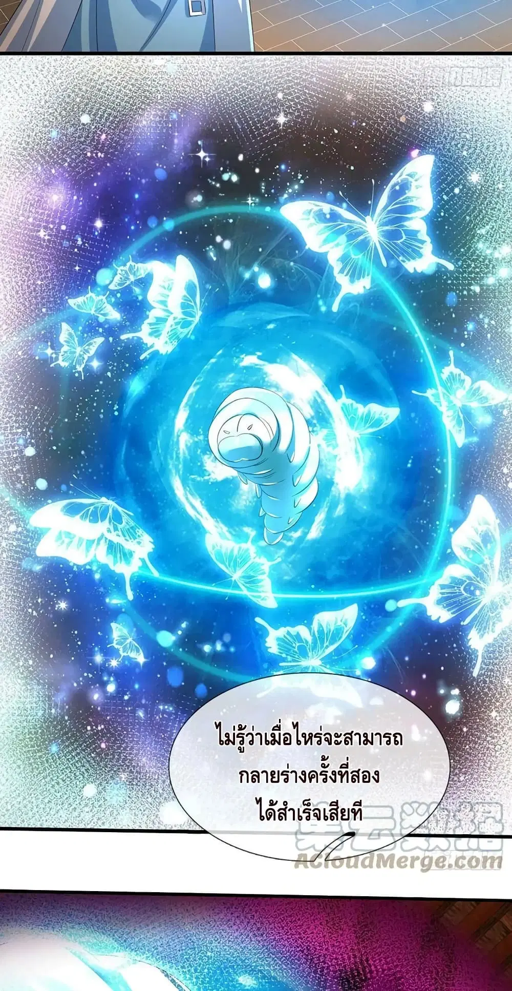 หน้า 6 จาก 42