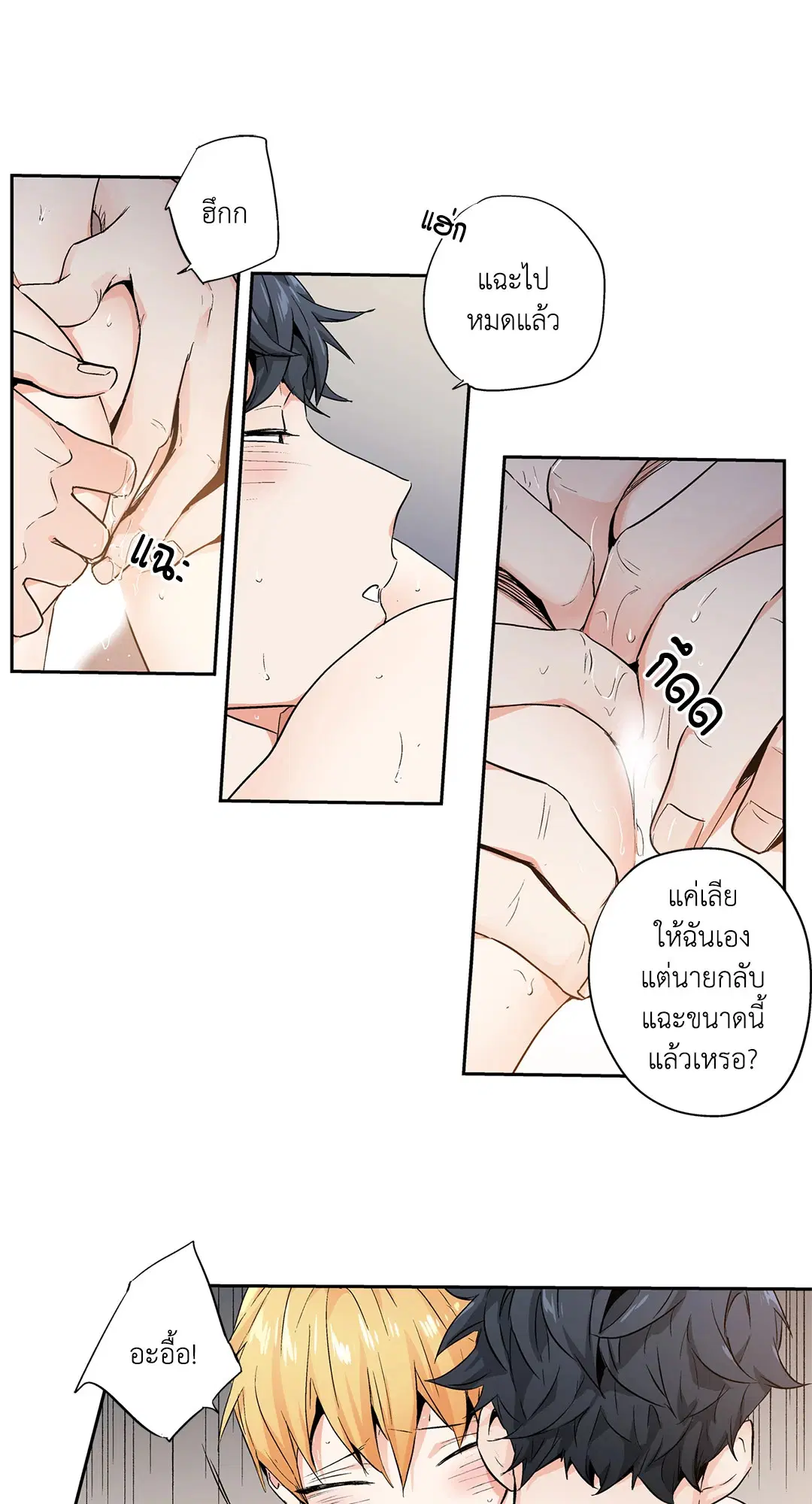 หน้า 12 จาก 39