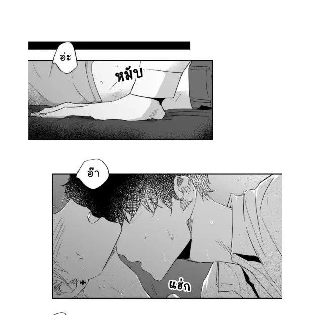 หน้า 30 จาก 43