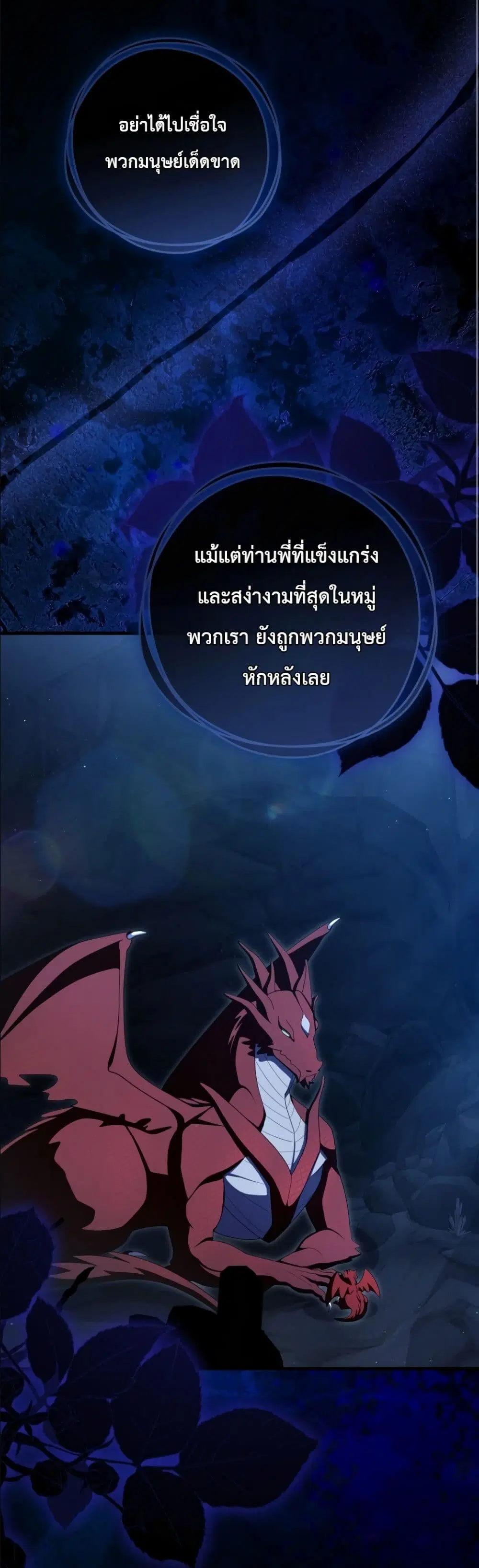 หน้า 3 จาก 62