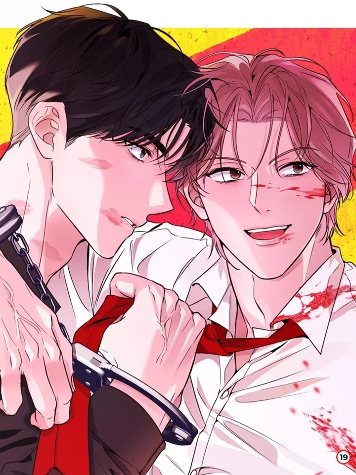 Shiny Star The Night is Soft – แสงดาวส่องใจ ในค่ำคืนที่แสนอ่อนโยน