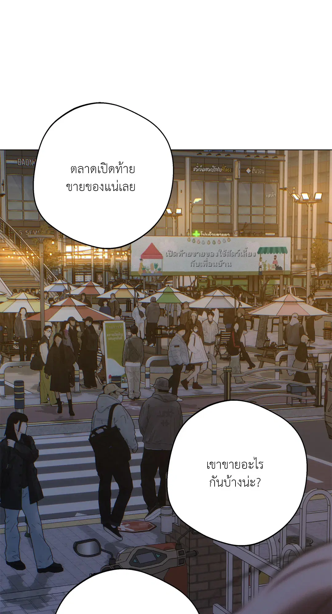 หน้า 35 จาก 75