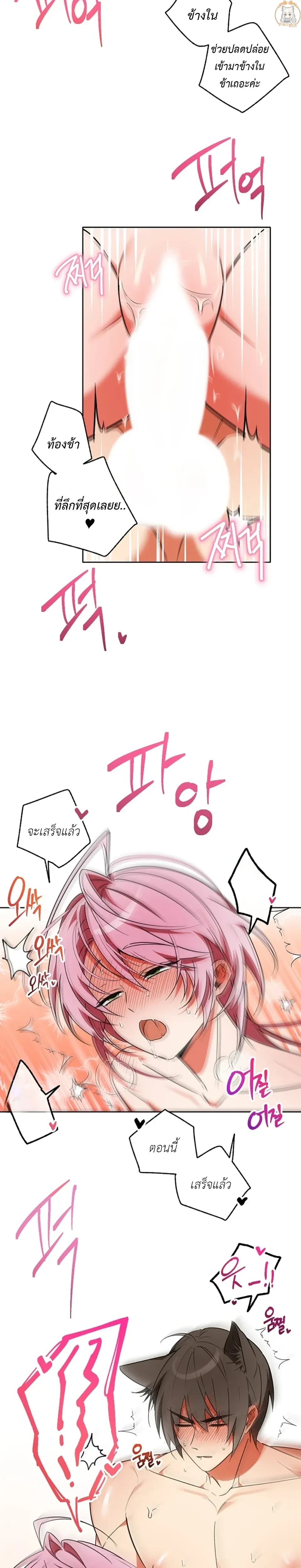 หน้า 11 จาก 21