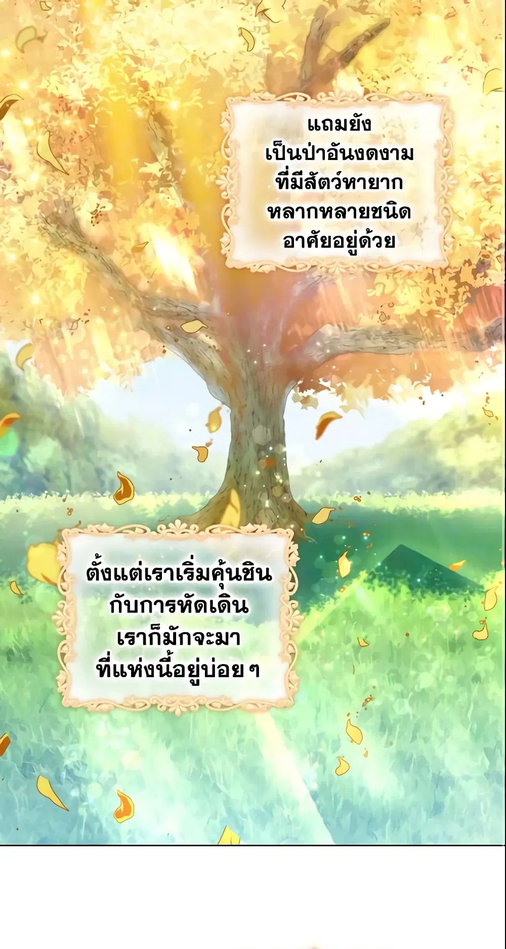 หน้า 34 จาก 43