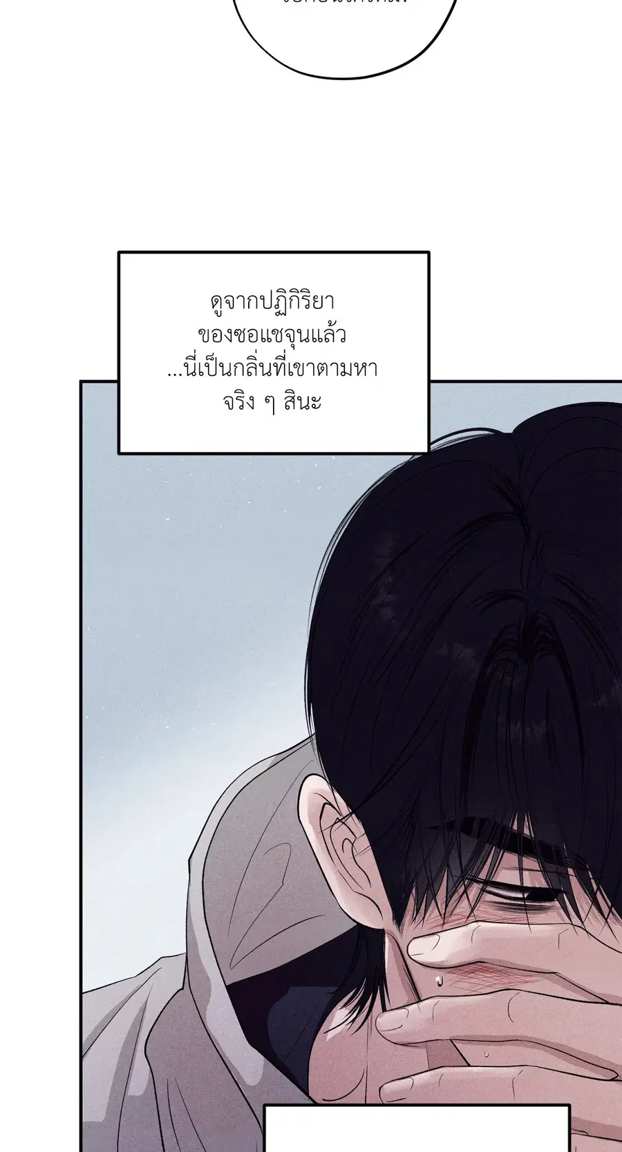 หน้า 13 จาก 81