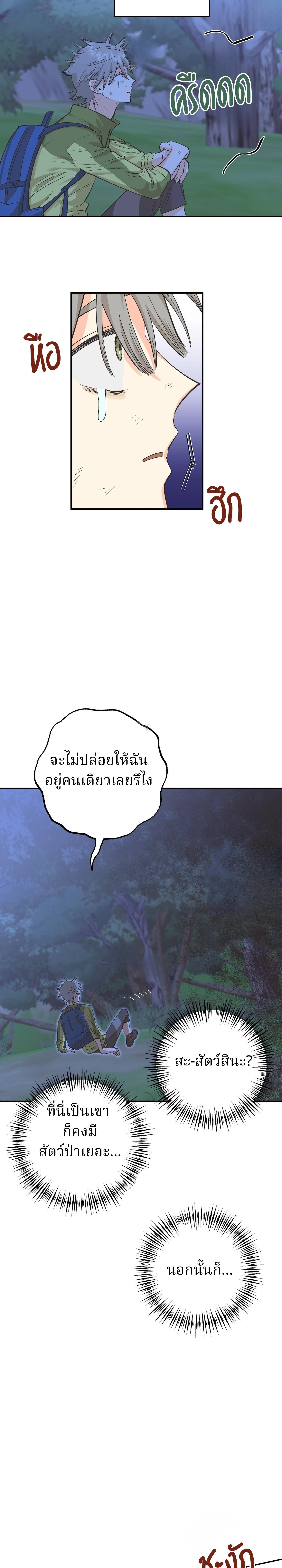 หน้า 17 จาก 33
